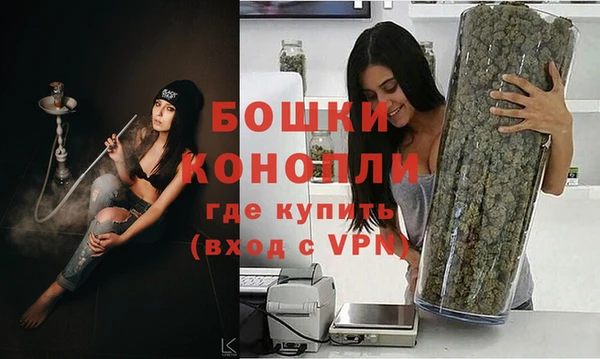 гидропоника Горняк