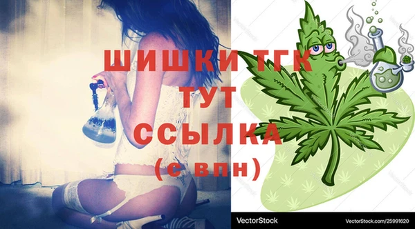 гидропоника Горняк