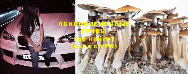 гидропоника Горняк